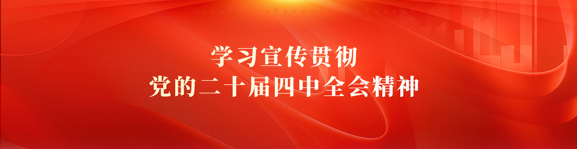 學習宣傳貫徹黨的二十屆四中全會精神